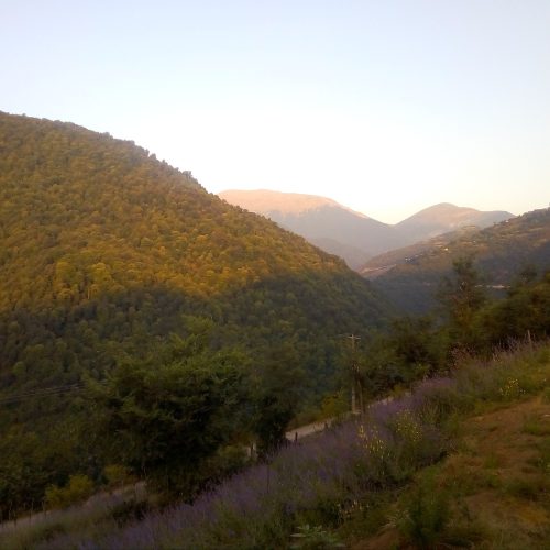 ویلا اجاره ای جنگلی تالش