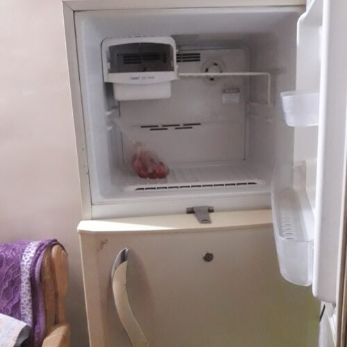 یخچال‌ال جی بادی