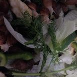 حلزون همه سایزی به شرط