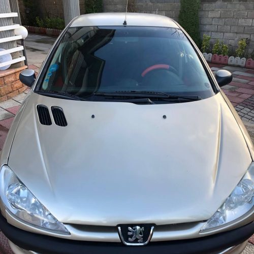 206 تیپ 2 مدل 82 فرانسه (آس)