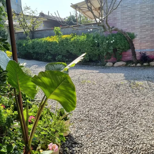 خانه ویلایی 330 متری