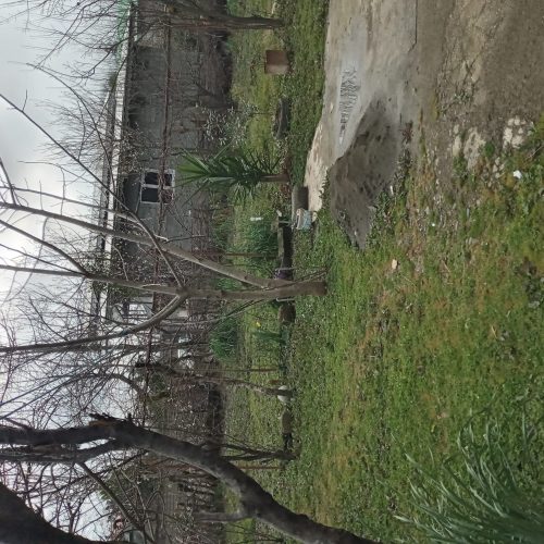 ویلا اجاره ای تمام امکانات