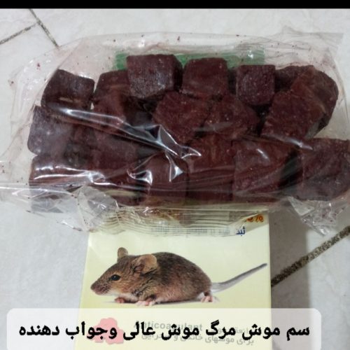 مرگ موش سم موش