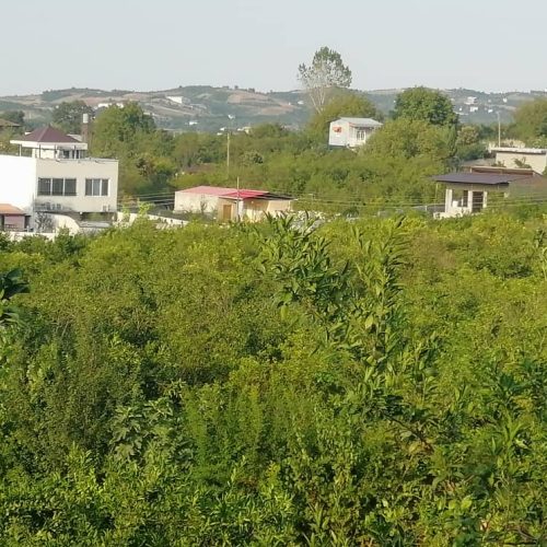 1050 متر زمین قلم باغ در نزدیکترین فاصله به شهر