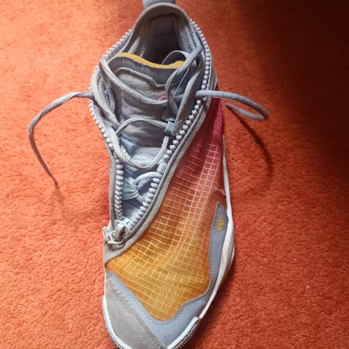 کفش بسکتبال Jordan why not.6