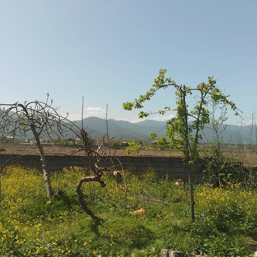 فروش زمین مسکونی