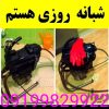 لوله بازکنی بهداشتی شبانه روزی