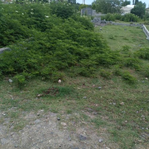 زمینه قابل ساخت