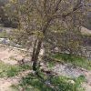 زمین 140 متری در بهترین جای دربند ولیان