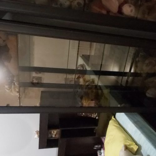 دو تخت خواب یک نفره با تشک  و دو بوفه