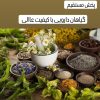 پخش گیاهان دارویی