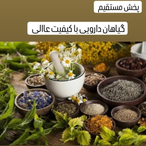 پخش گیاهان دارویی