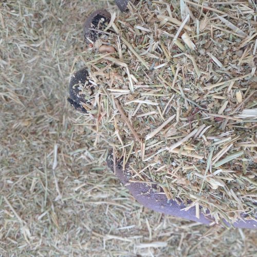 خار شوره مخصوص گوسفند گاو شتر