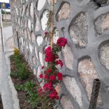 فروشی خونه باغ نوساز روستای سعید اباد