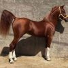 فروش اسب،کره نریان بسیار گرم و سر ودم گیر