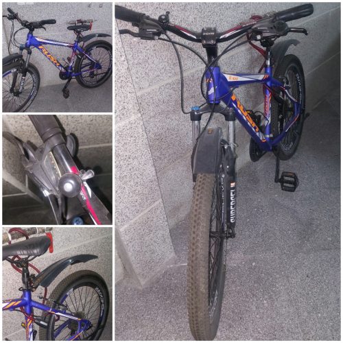 دوچرخه شهری