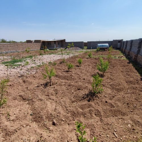 چهاردیواری،باغچه،شهرک نارمک(میانچال)