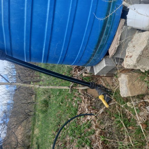 فروش باغ 1000 متر