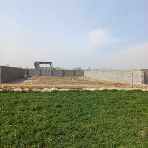 زمین برای باغ ویلا