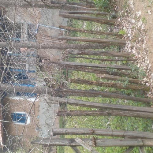 باغ ویلا کوهستانی سنتی قدیمی