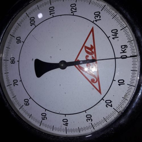 ترازو ایستاده پزشکیseca