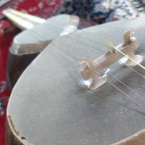 فروش فوری تار دو مهر کیانی