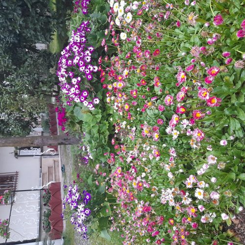 اجاره خانه ویلایی
