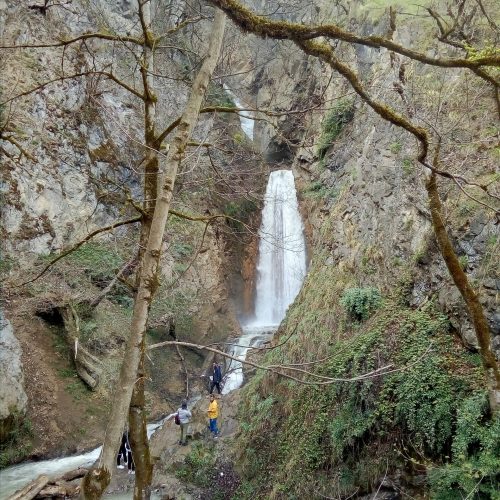ویلا اجاره ای جنگلی تالش