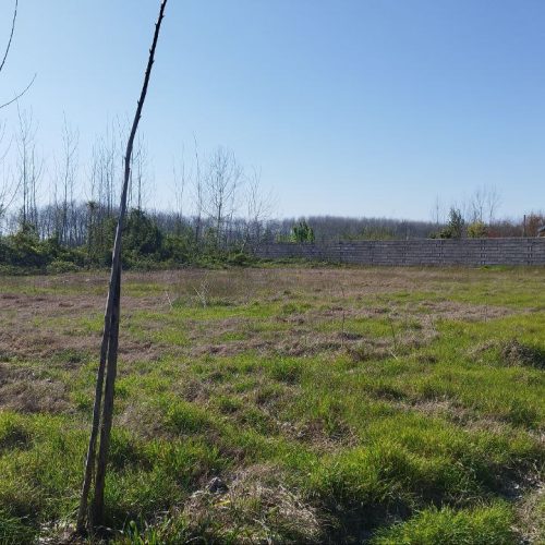 فروش 2000متر زمین باغی داخل طرح هادی روستا