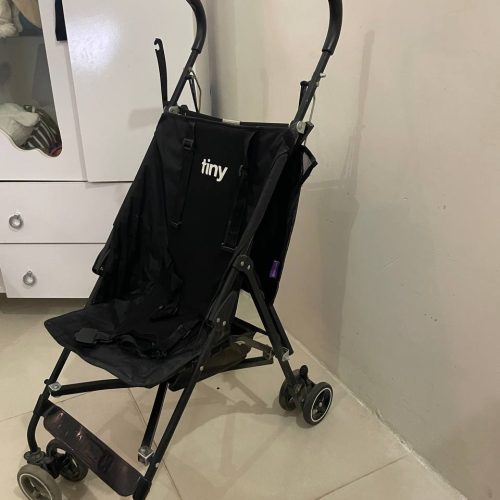 کالسکه برند تاینی عصایی