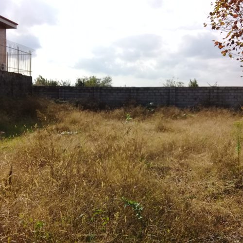 فروش زمین مسکونی باپروانه ساخت