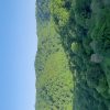 اجاره ویلا اجارهی
