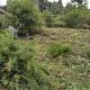 فروش زمین در بهشت ایران. زیر قیمت