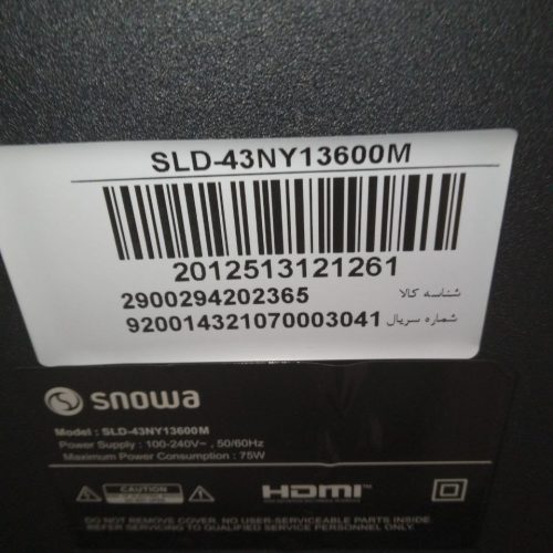 تلویزیون اسنوا