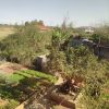 فروش زمین