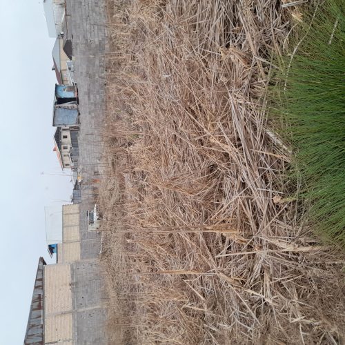 زمین 130 متری (مسکونی)