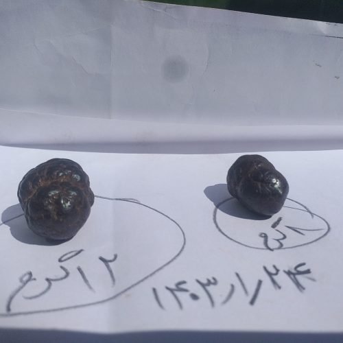دوعدد شهاب سنگ اصلی