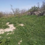 یک قطعه زمین کشاورزی در روستای زمانصوفی  کلاته سیدا کنار تپه باستانی متراژ (چهار من) قیمت توافقی