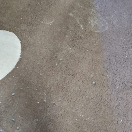 3عدد فرش 6متری