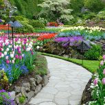 باغبانی حرفه ای فضای سبز گلها