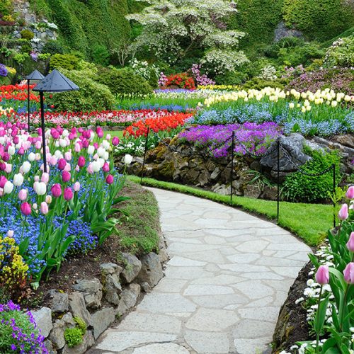 باغبانی حرفه ای فضای سبز گلها