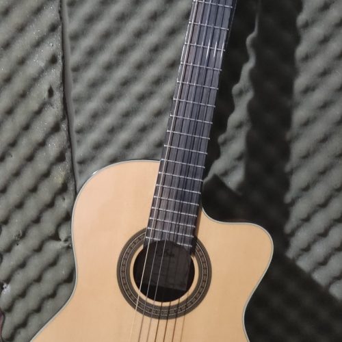 تدریس خصوصی گیتار وآواز (سبک پاپ)