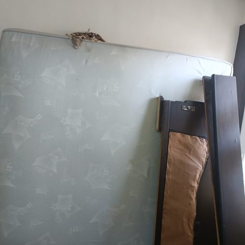 تخت خواب دو نفره نونو با تشک