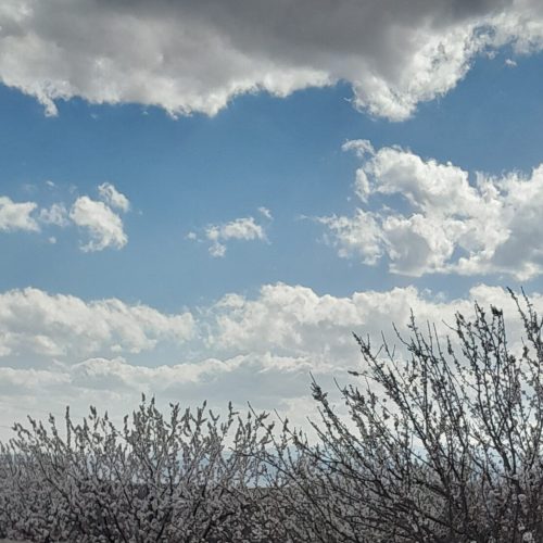 زمین ملکی باغی کلاکوب شاهنامه