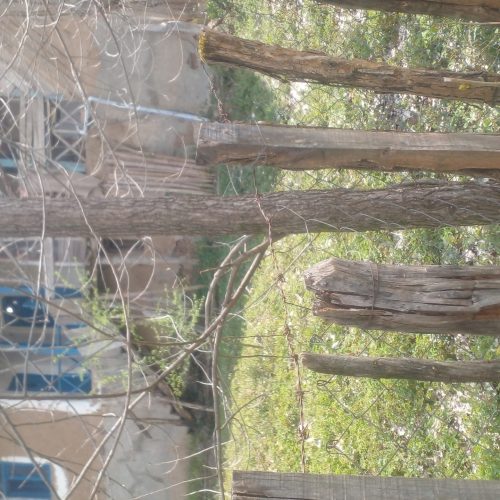 باغ ویلا کوهستانی سنتی قدیمی