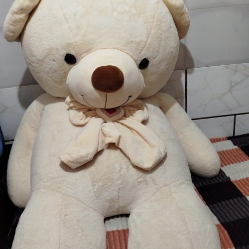 خرس سفید 2 متری