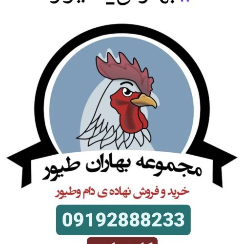 بازرگانی بهاران