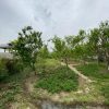 خانه ویلایی با 350 متر زمین