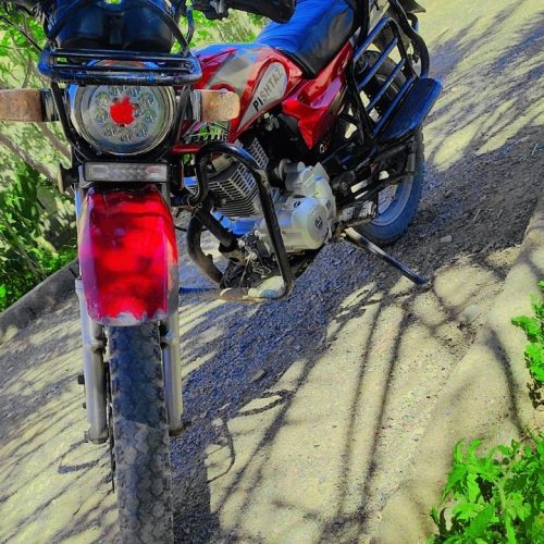 فروش موتور سیکلت اخسان شکاری درخدخشک مدل 95