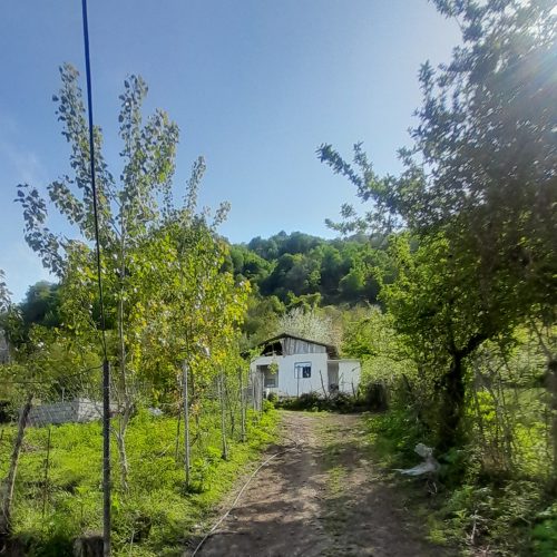 بهترین جای زمین ویلایی نوسازدرچوبر اطراف االکی محله چشبیده به جنگل روبروی ویلا هم همه جای شهر دیده میشه دریا